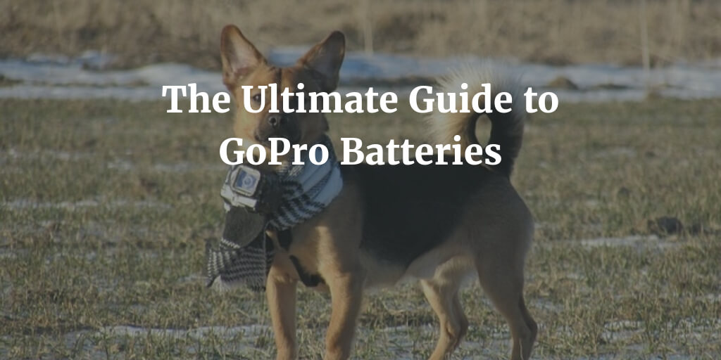 The Ultimate Guide to GoPro Batteries