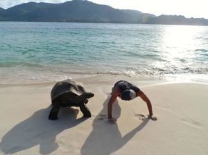 A man doing pushups with turtle on beach for travel fitness