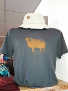 Stylish Merino Tee with Hat