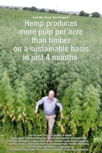 Facts about hemp