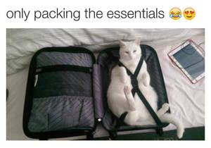 Only pack the essentials