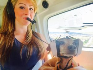 A woman and a dog as pilots in cockpit