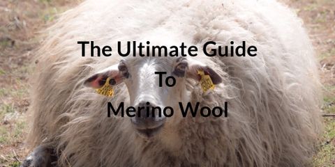 The Ultimate Guide to Merino Wool