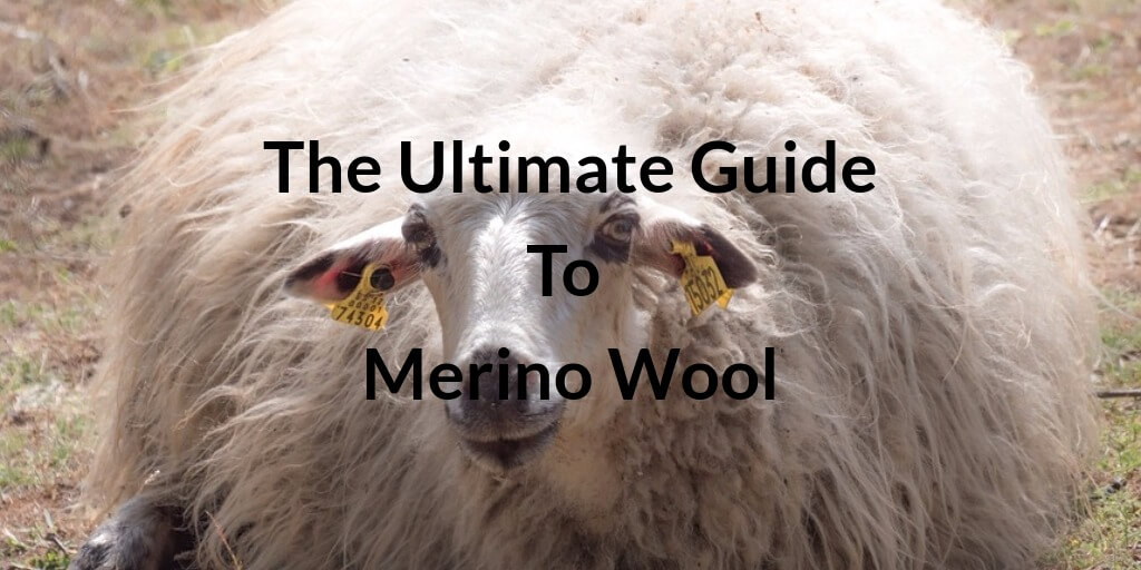 The Ultimate Guide to Merino Wool in 2021
