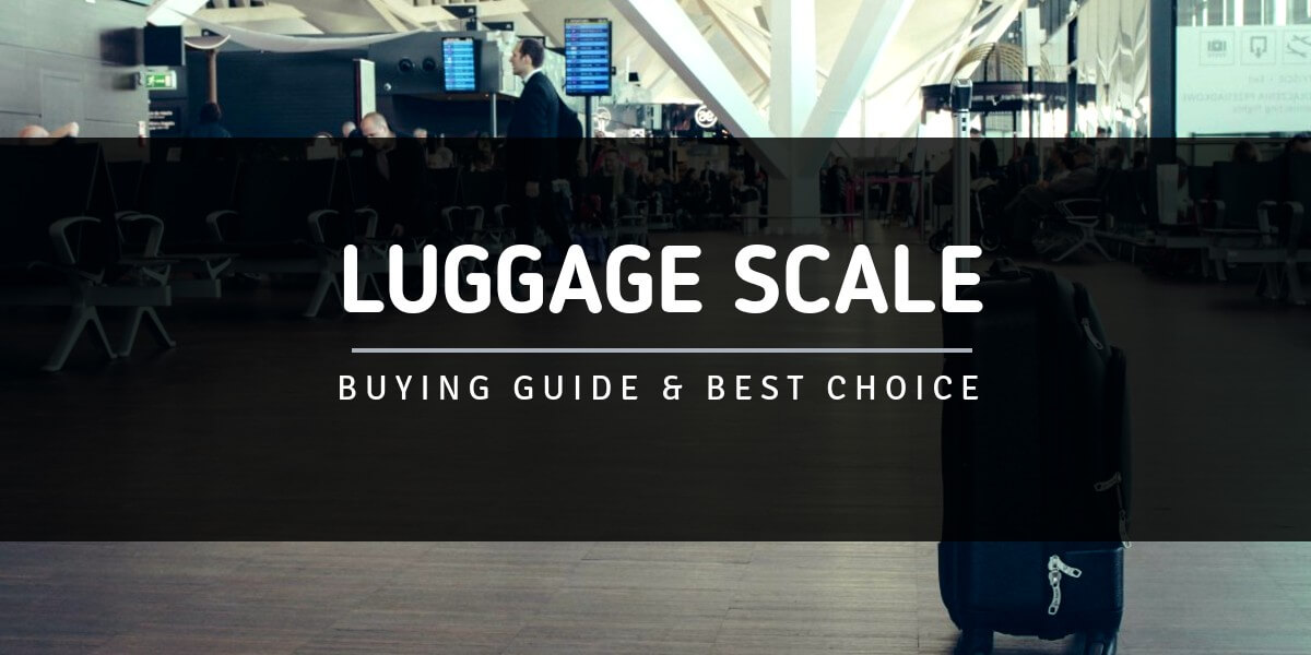 The Best Value for Money Luggage Scale