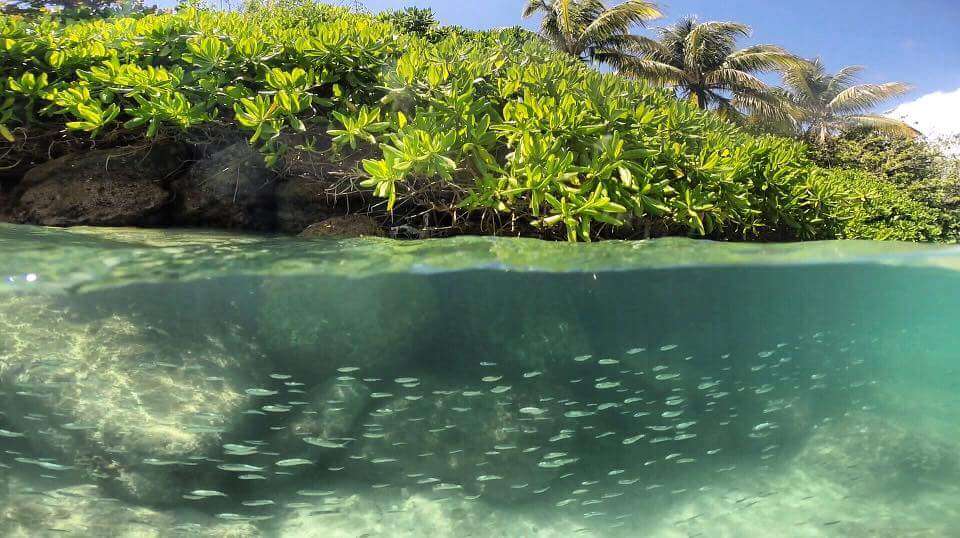 gopro underwater