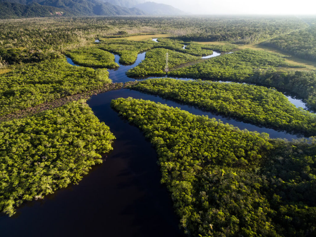 amazon rainforest basin in Brazil
