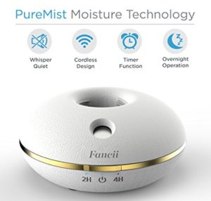 Fancii Cool Mist Personal Humidifier